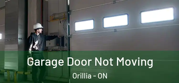 Garage Door Not Moving Orillia - ON